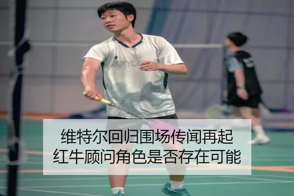 维特尔回归围场传闻再起 红牛顾问角色是否存在可能