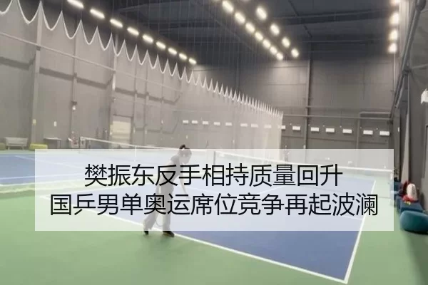 樊振东反手相持质量回升 国乒男单奥运席位竞争再起波澜